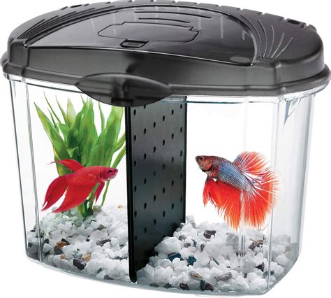 4 Best Betta Fish Tank Heaters for 1, 5 & 10+ Gallon Tanks 